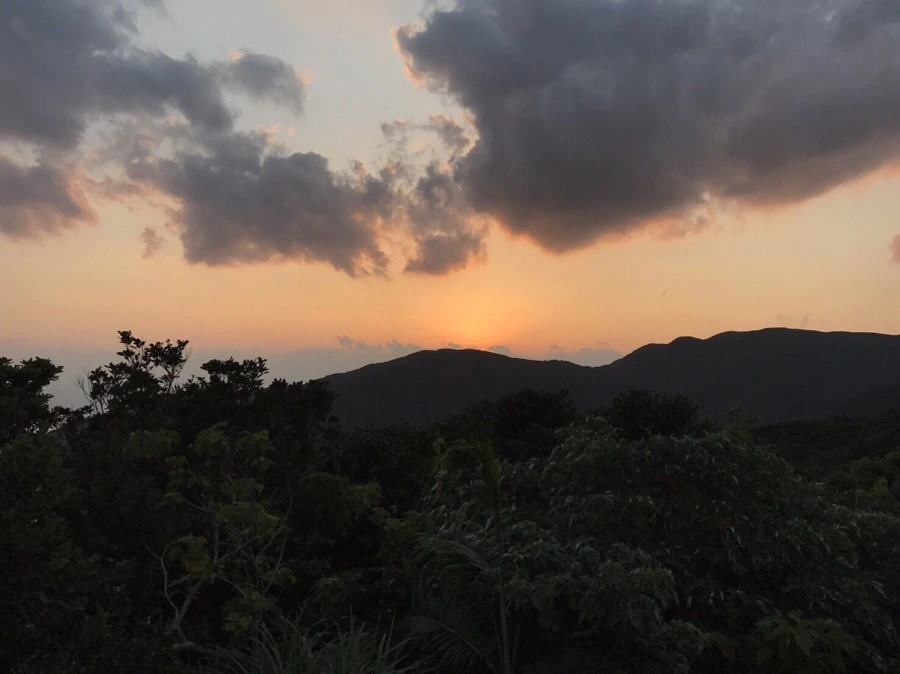 IMG_3991.jpg?type=w966