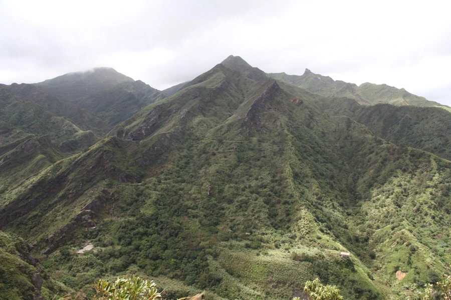 IMG_5311.JPG?type=w1