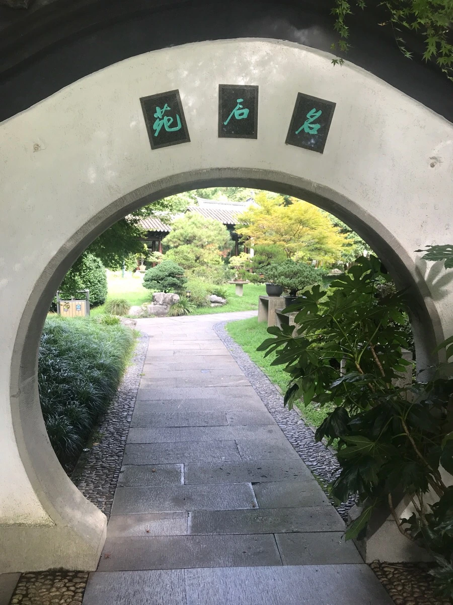 IMG_1127.jpg?type=w966