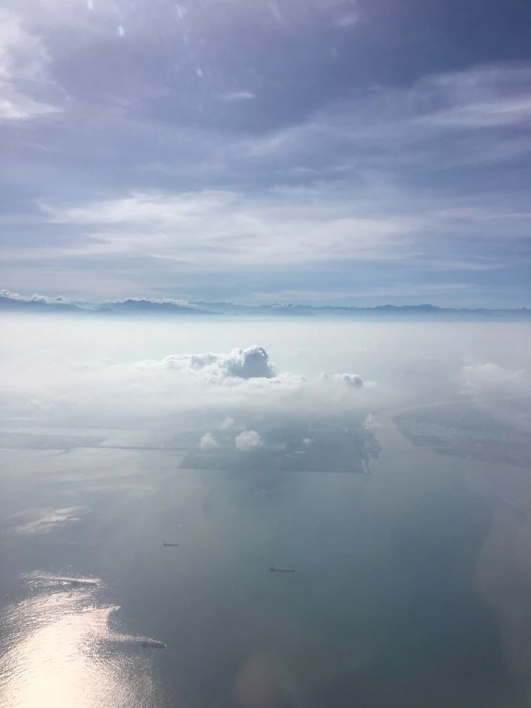 attachImage_2056636486.jpeg?type=w773