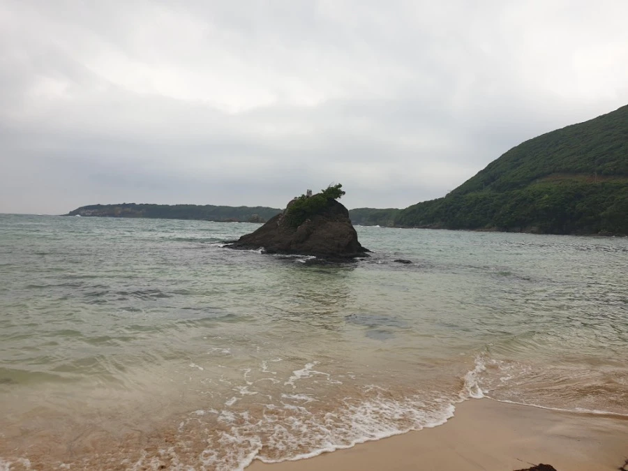 20190608_105543.jpg?type=w1