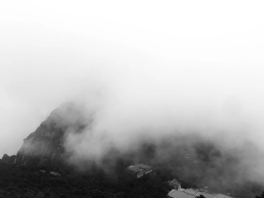 IMG_0777.jpg?type=w966