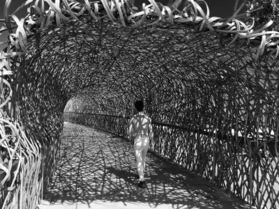 2016.02.12_Taitung_1516.jpg?type=w2