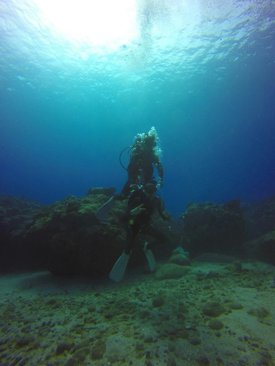 IMG_3586.jpg?type=w966