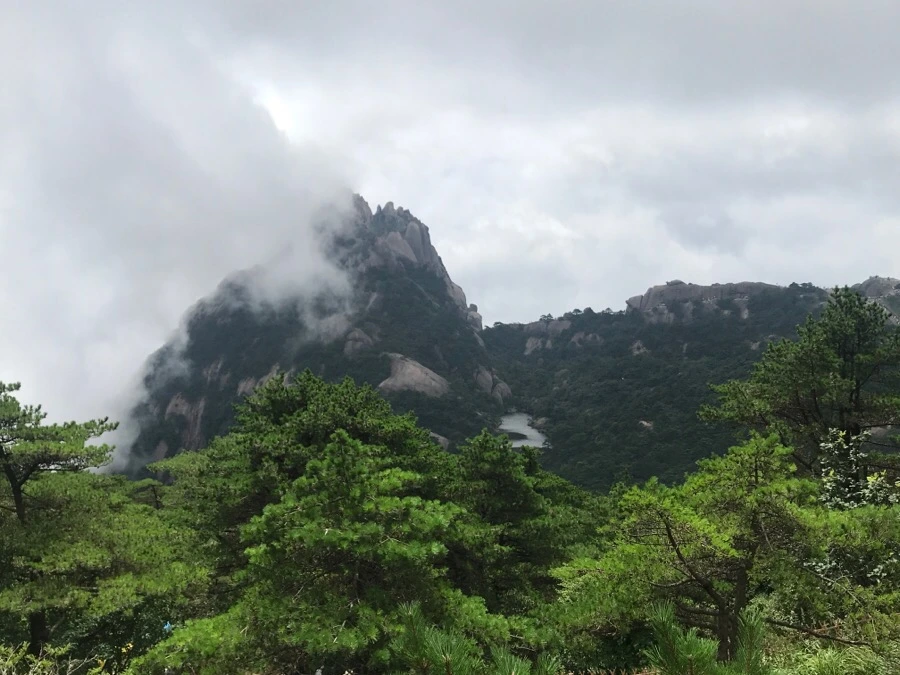 IMG_0760.jpg?type=w966