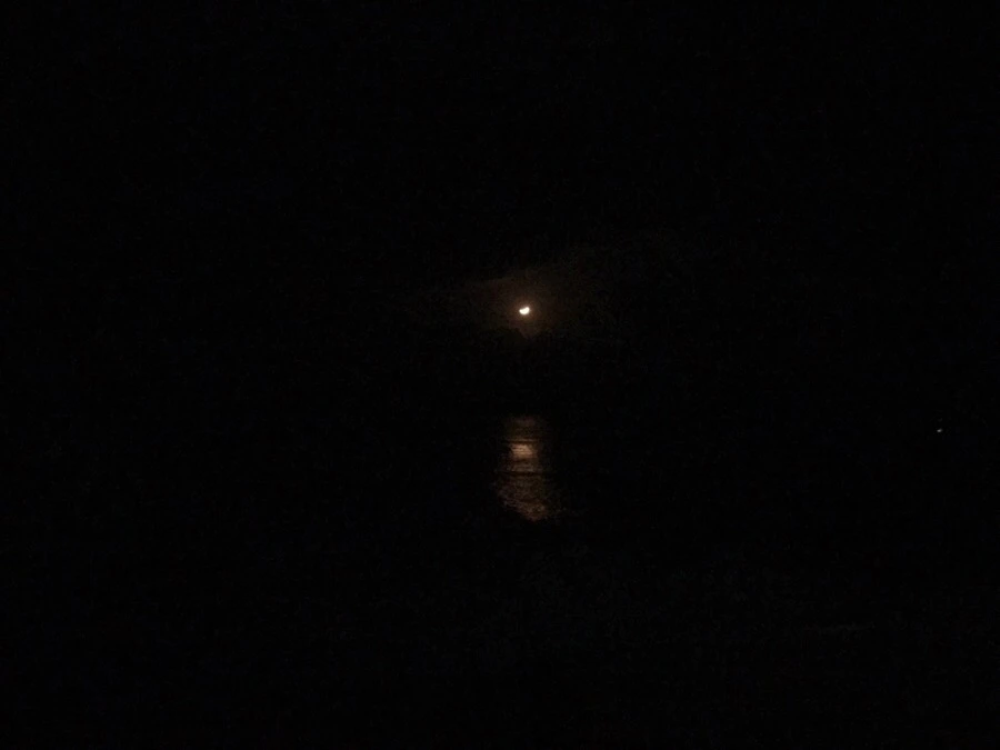 IMG_3568.jpg?type=w966