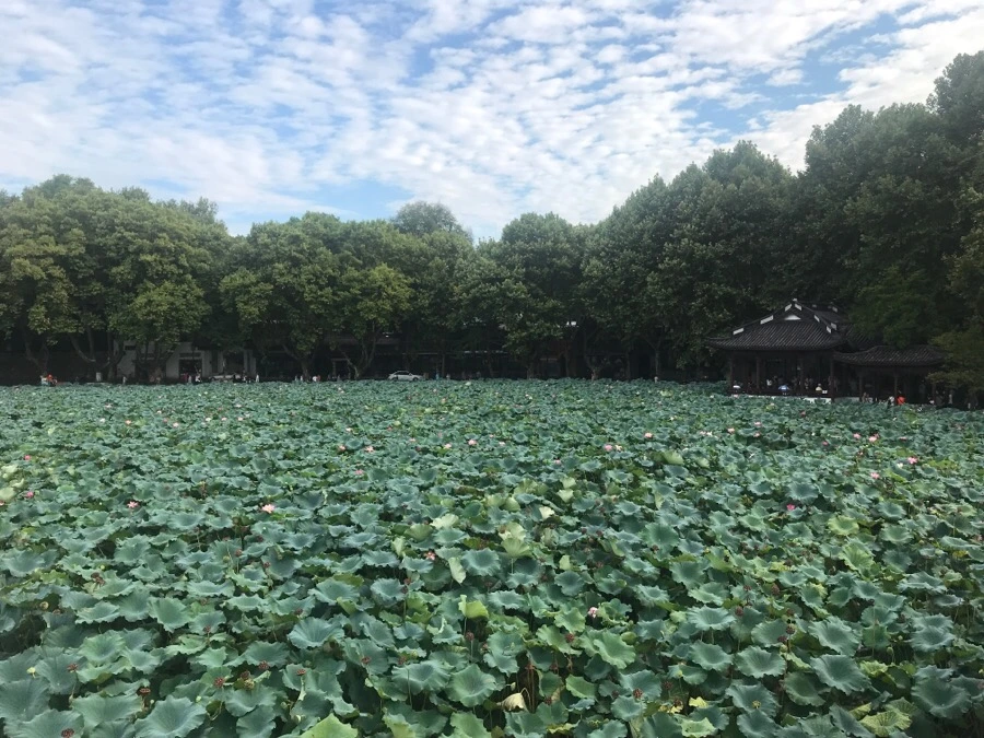 IMG_1073.jpg?type=w966