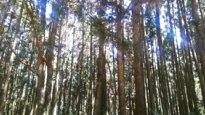 IMAG4876.jpg?type=w773