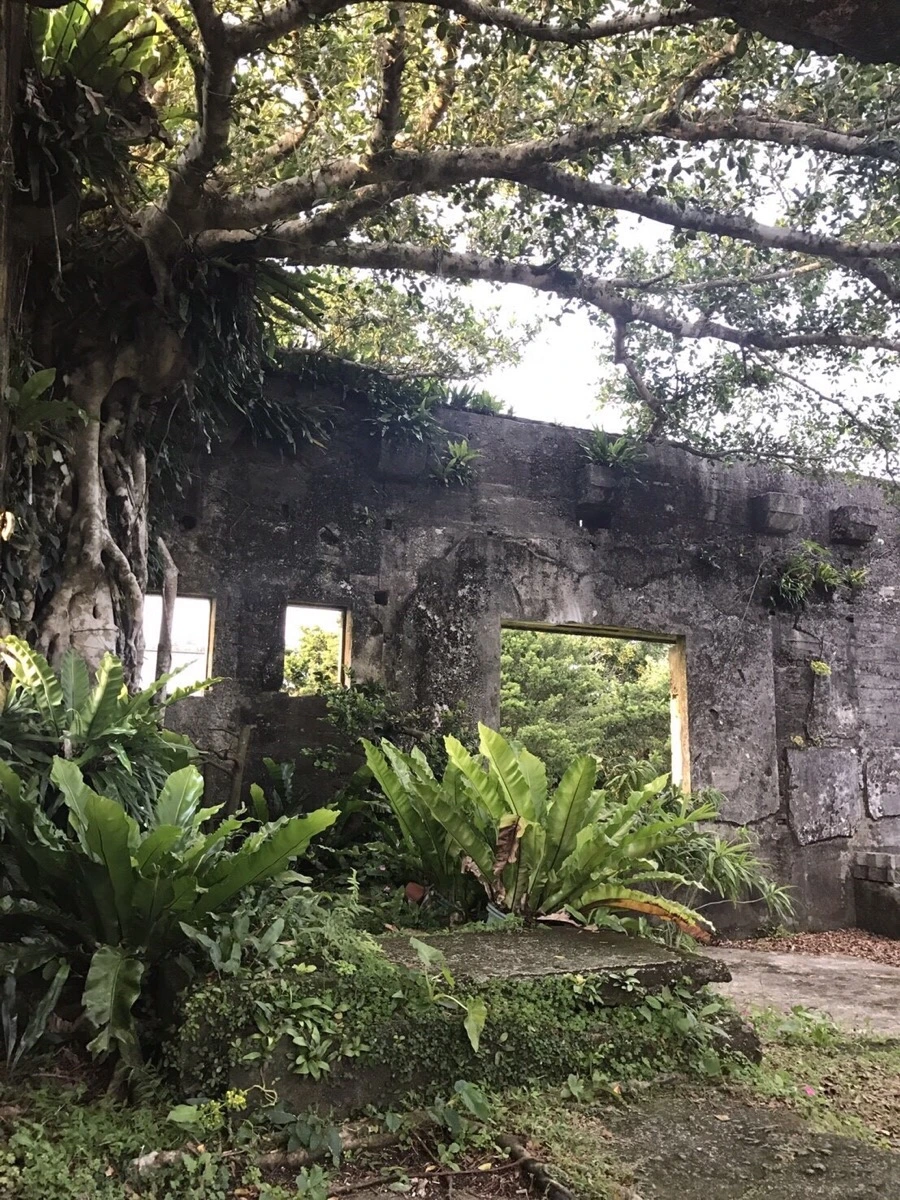 IMG_4017.jpg?type=w966