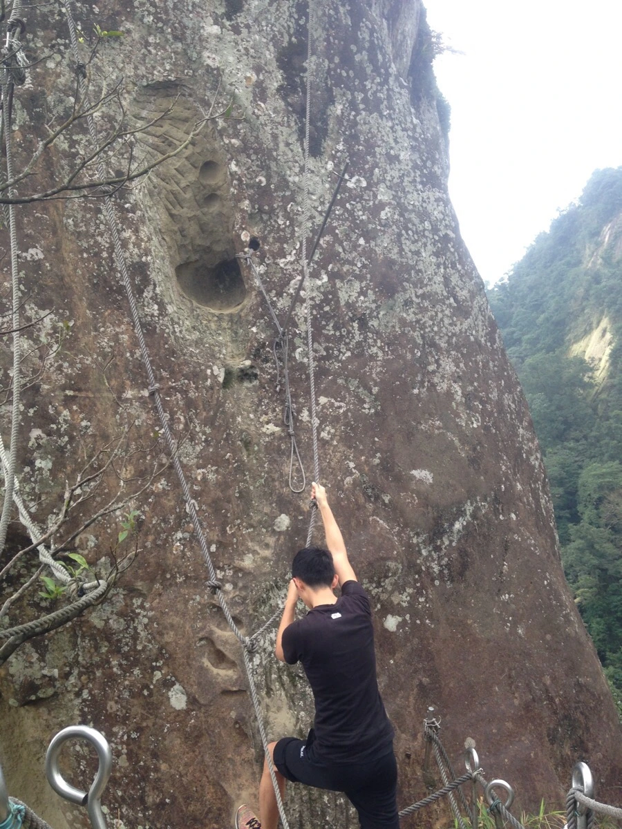 IMG_6946.jpg?type=w966