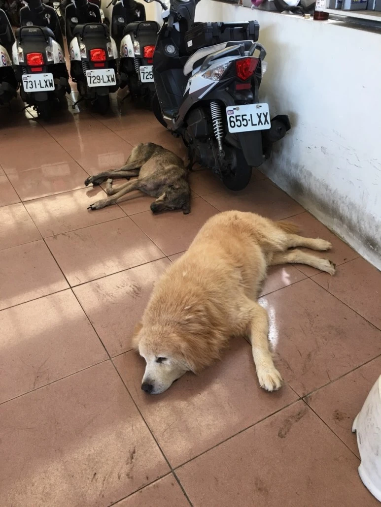 attachImage_2416232017.jpeg?type=w773