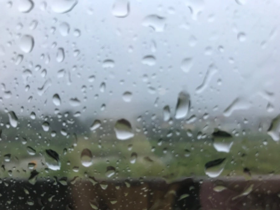 IMG_9004.jpg?type=w966