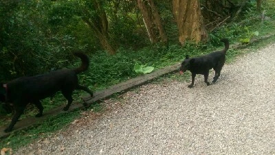 IMAG5999.jpg?type=w773