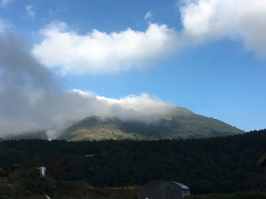 IMG_5383.JPG?type=w966