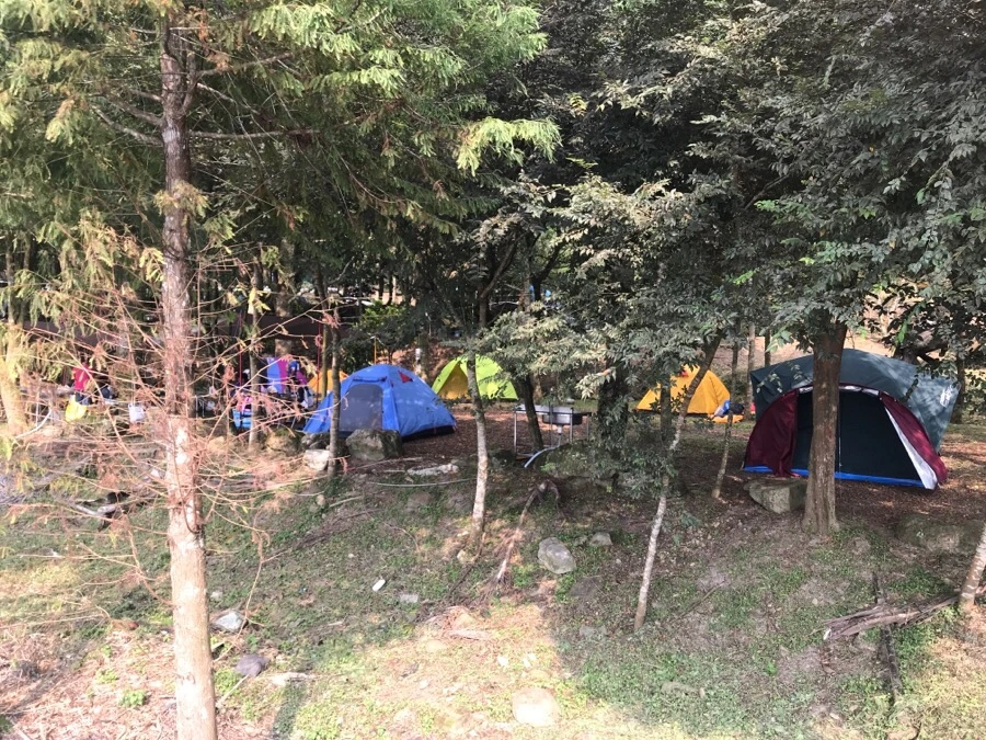 IMG_2984.jpg?type=w966