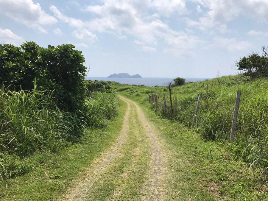 IMG_3910.jpg?type=w966