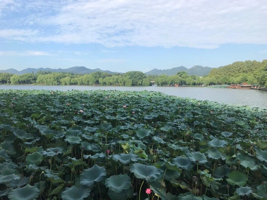 IMG_1104.jpg?type=w966