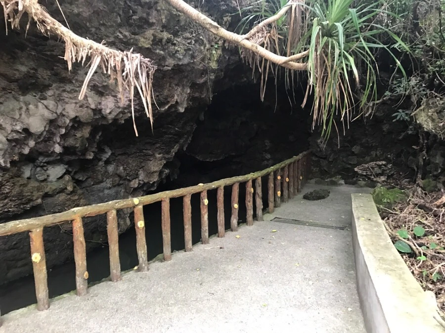 IMG_1630.jpg?type=w966