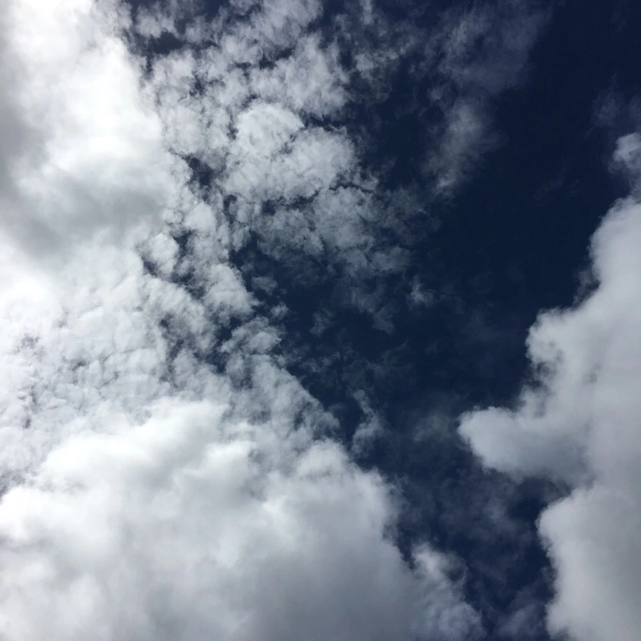 IMG_4979.JPG?type=w966