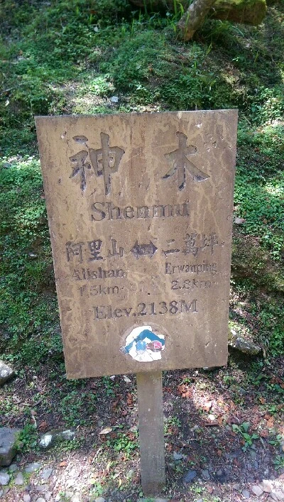 IMAG4878.jpg?type=w773