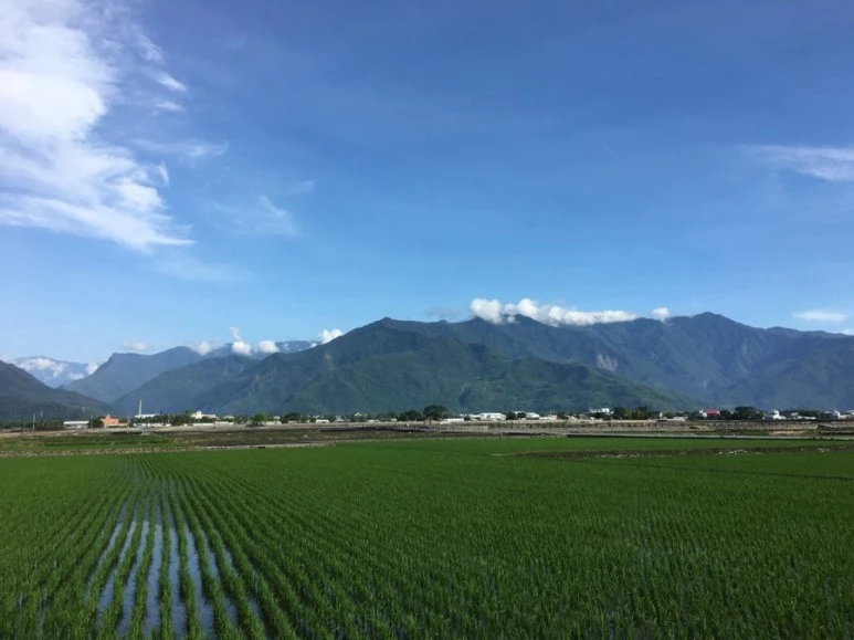 attachImage_2521475333.jpeg?type=w773