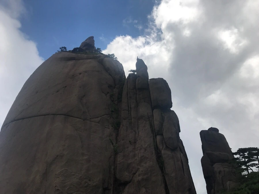 IMG_0878.jpg?type=w966