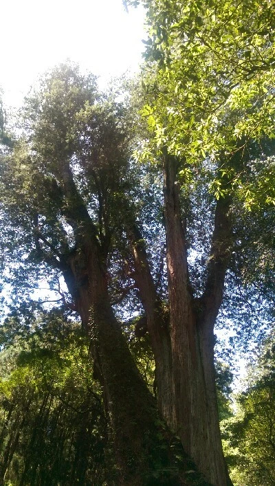 IMAG4886.jpg?type=w773