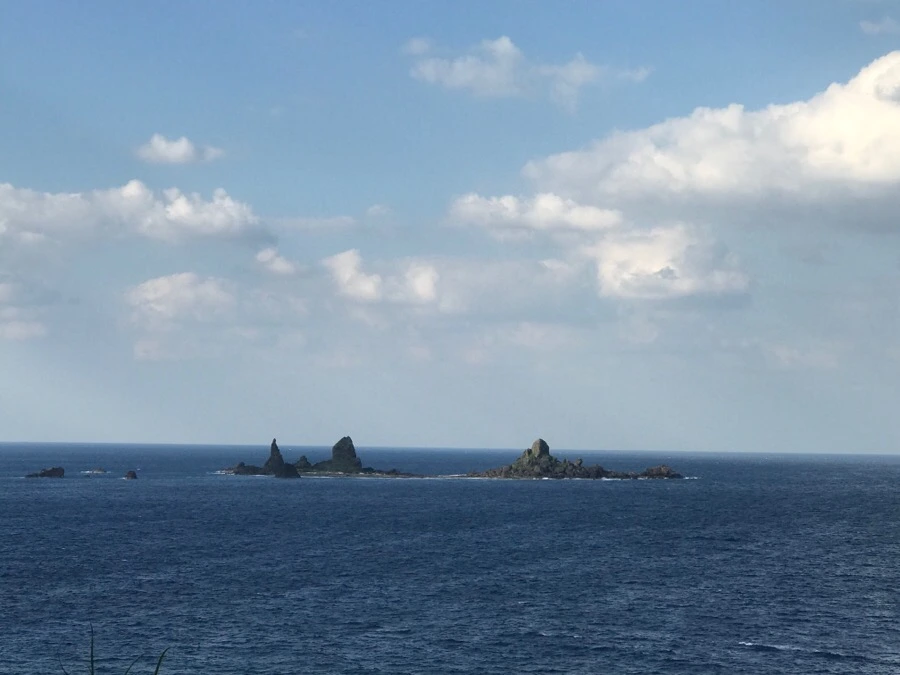 IMG_3769.jpg?type=w966