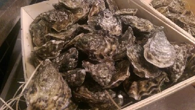 IMAG5446.jpg?type=w966