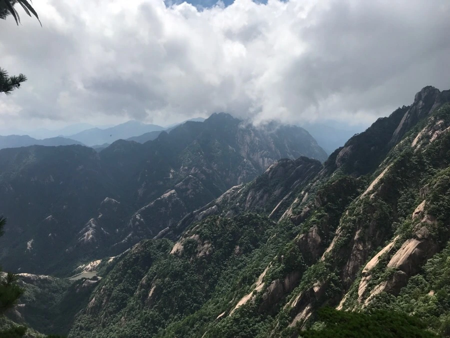 IMG_0853.jpg?type=w966