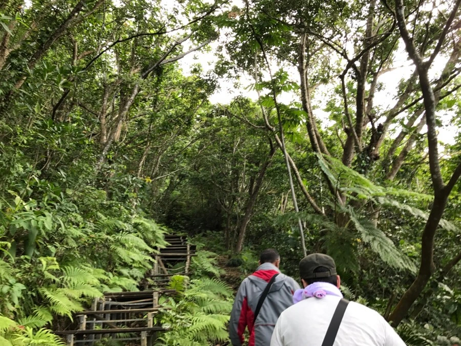 IMG_3634.jpg?type=w966