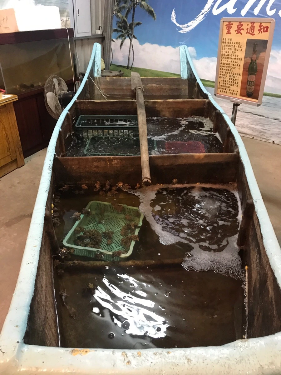 IMG_8604.jpg?type=w966