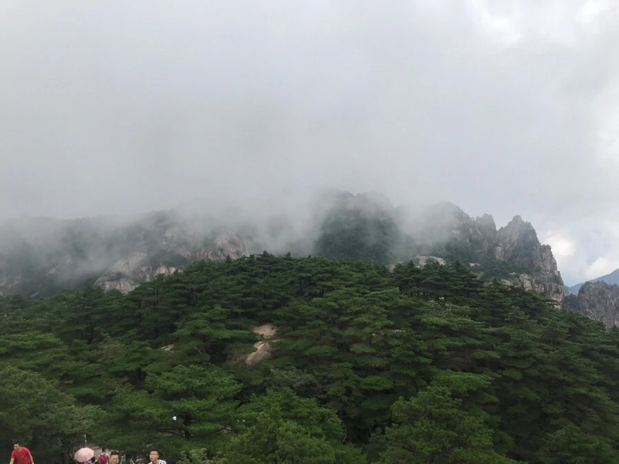 IMG_0790.jpg?type=w966