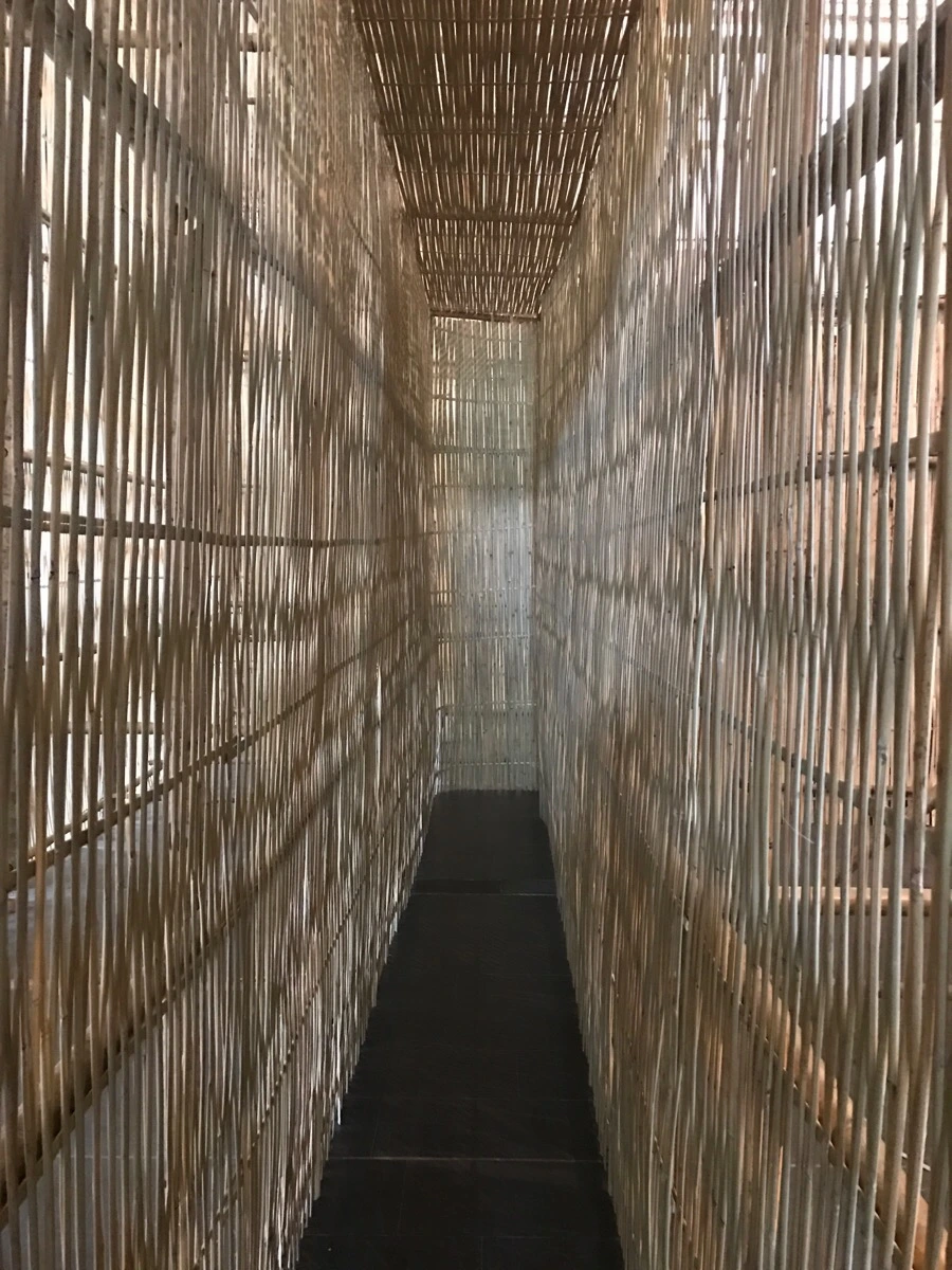 IMG_0326.jpg?type=w966