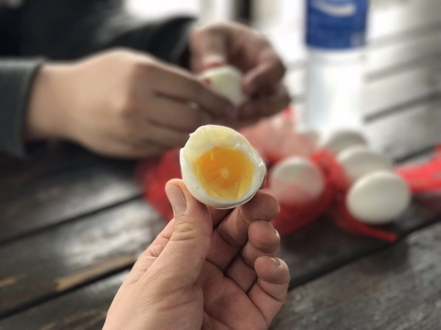 IMG_1935.jpg?type=w966