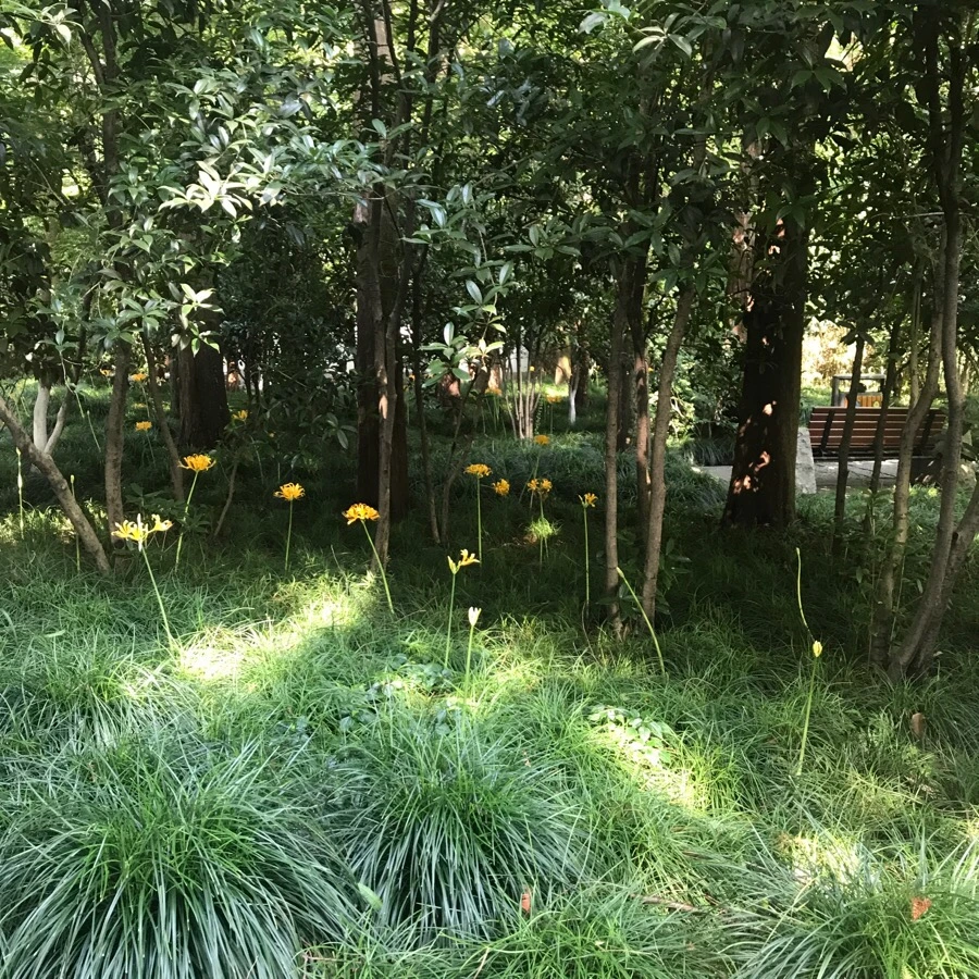 IMG_1161.jpg?type=w1