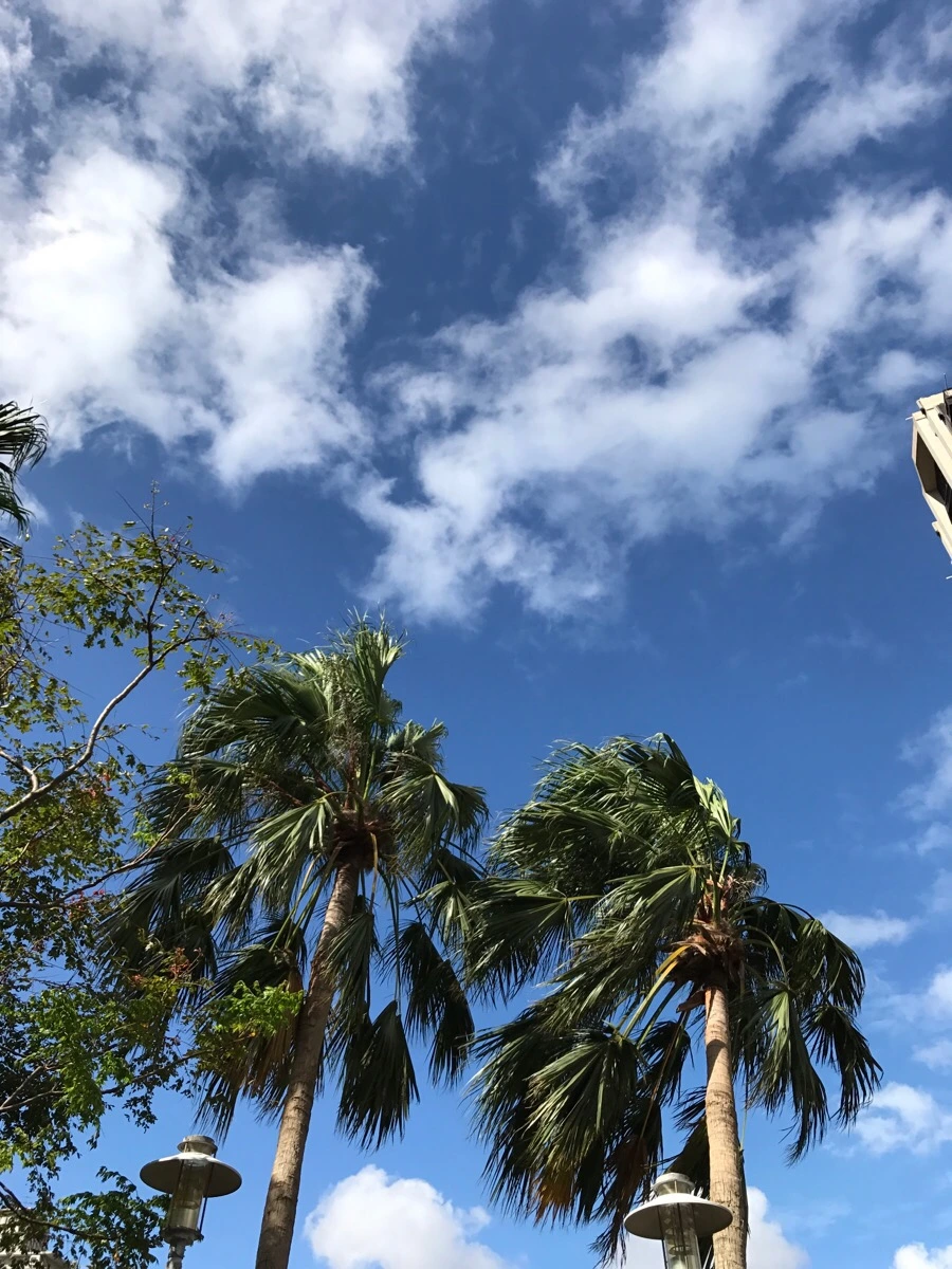 IMG_4832.JPG?type=w966