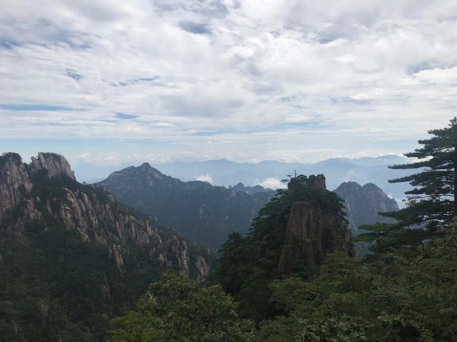 IMG_0717.jpg?type=w966