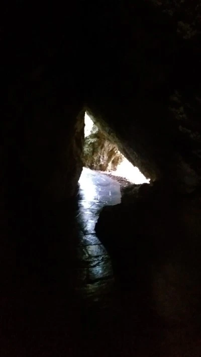 IMAG3352.jpg?type=w2