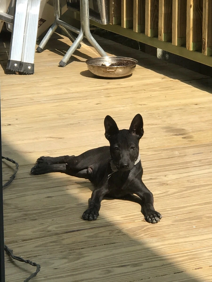 IMG_3208.jpg?type=w966