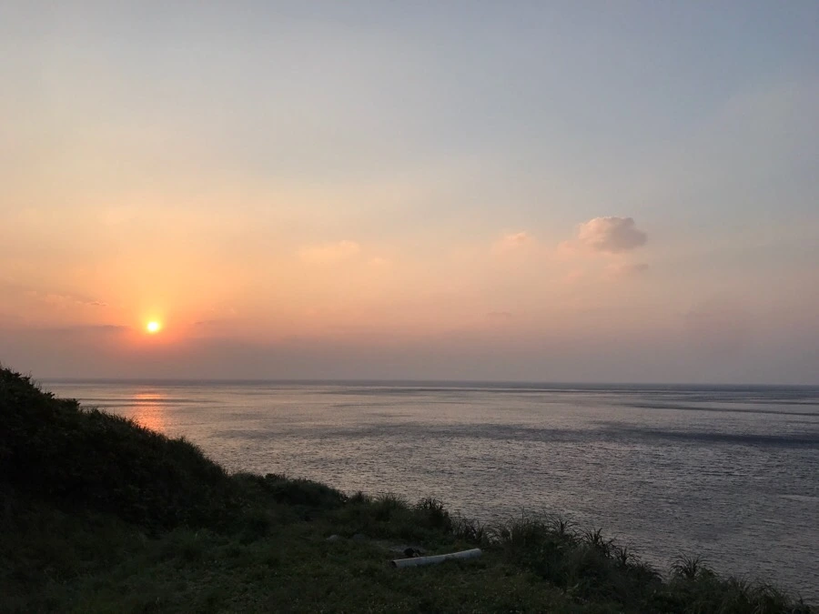 IMG_3510.jpg?type=w966