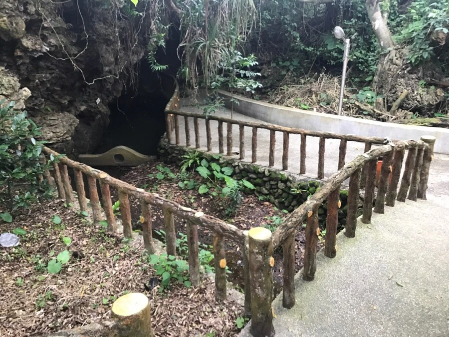 IMG_1629.jpg?type=w966