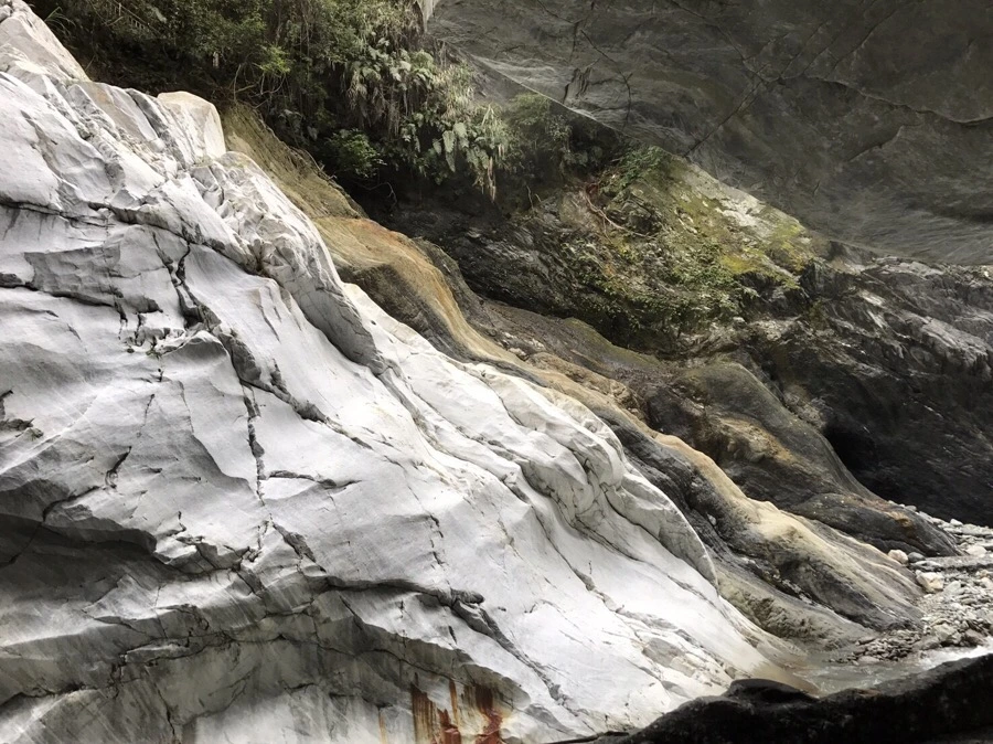 IMG_2249.jpg?type=w966