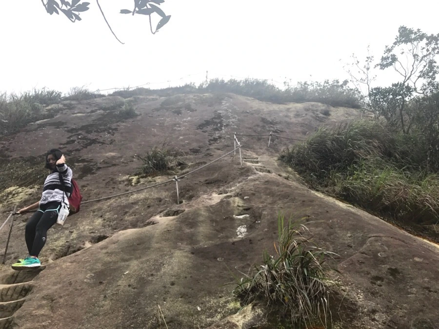 IMG_1059.jpg?type=w966