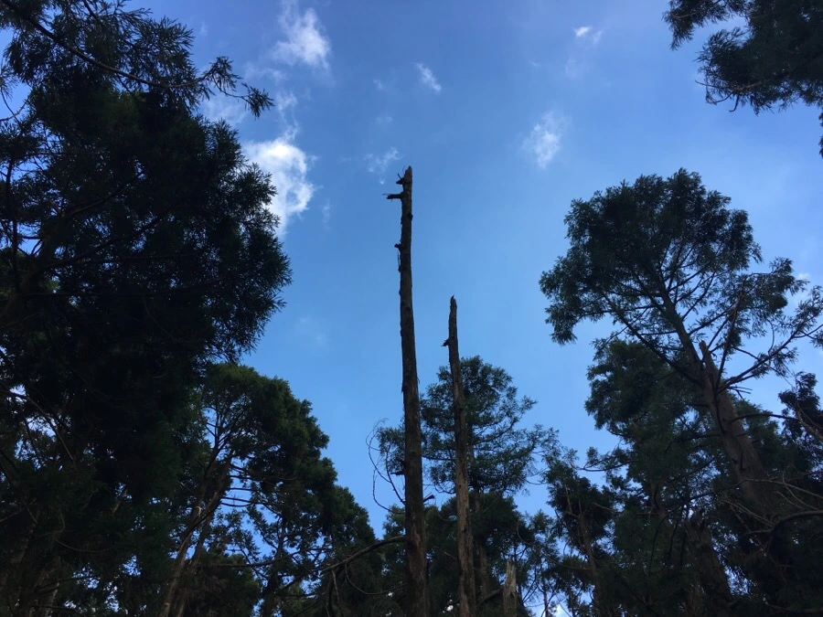 IMG_5352.JPG?type=w966