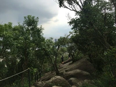 1467444294948.jpg?type=w773