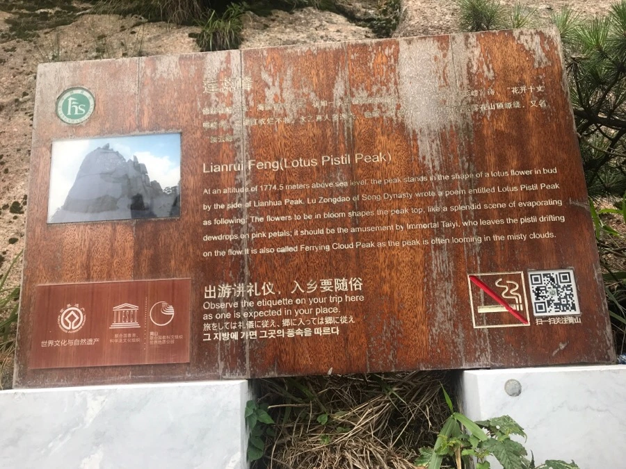 IMG_0886.jpg?type=w966