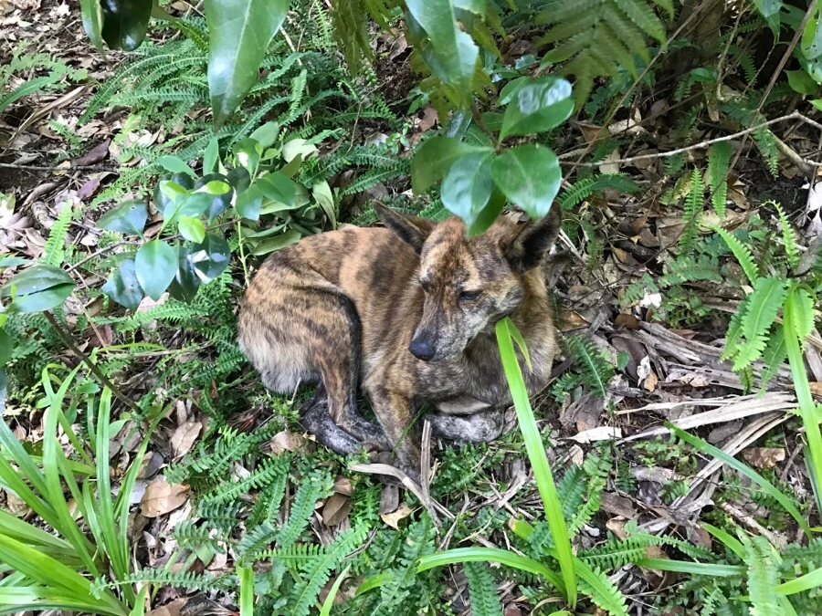 IMG_3708.jpg?type=w966