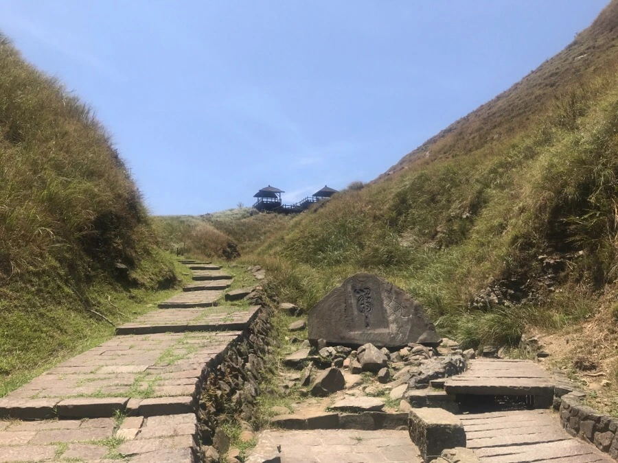 IMG_0113.jpg?type=w966