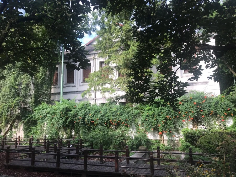 IMG_1097.jpg?type=w966